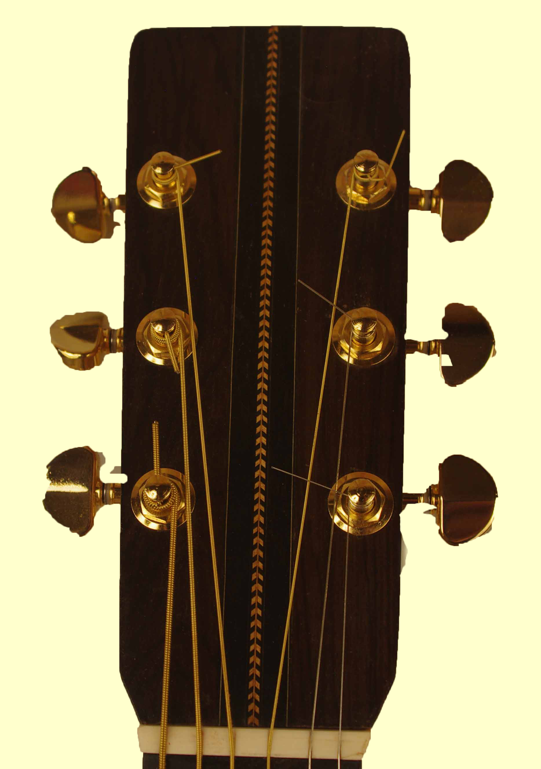 thompson18 head